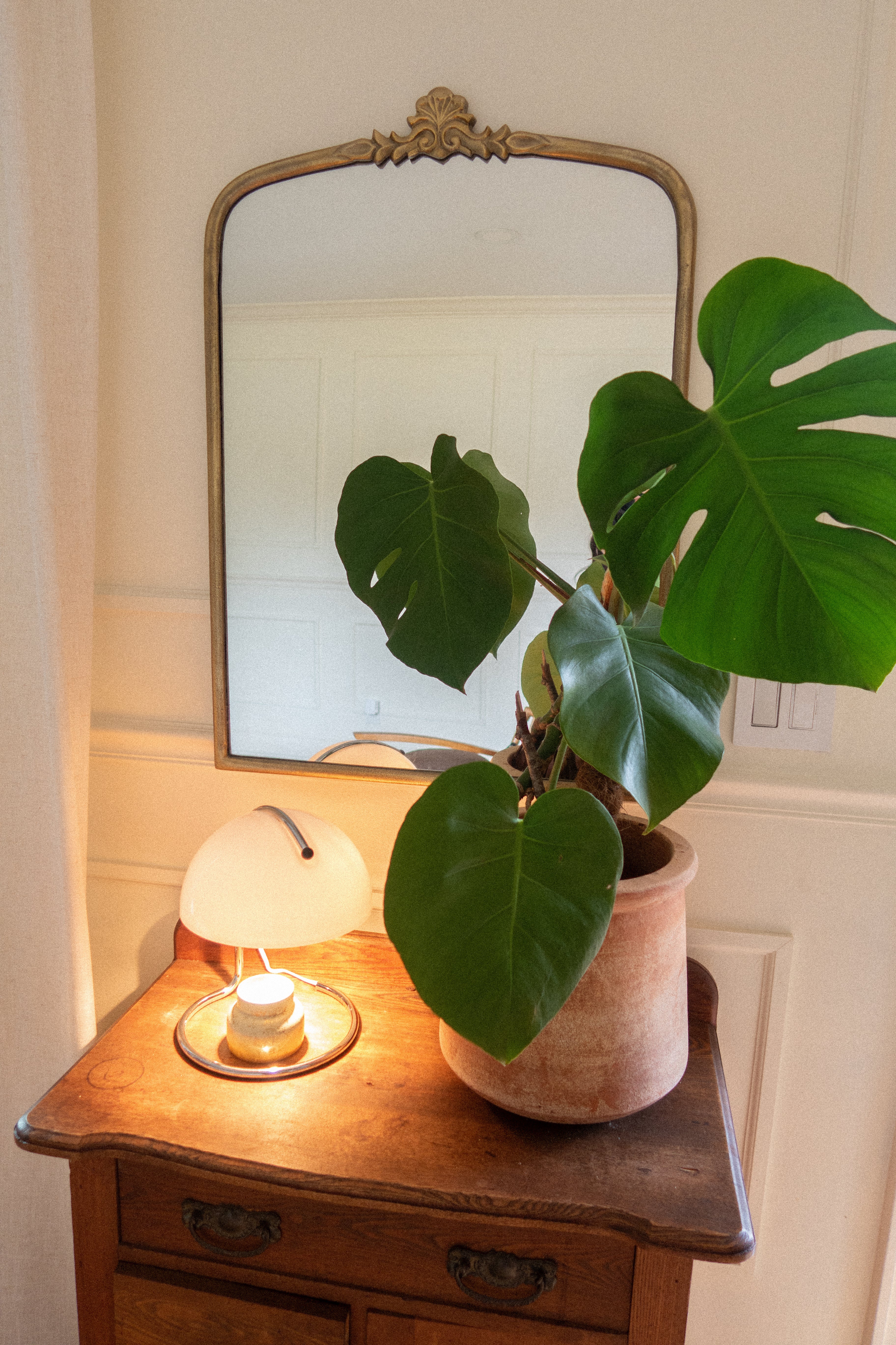 Curva_Candle-Warmer-White-Lifestyle-Counter-3_61e484ed-231f-4a59-84a3-ddf625b38df4.jpg