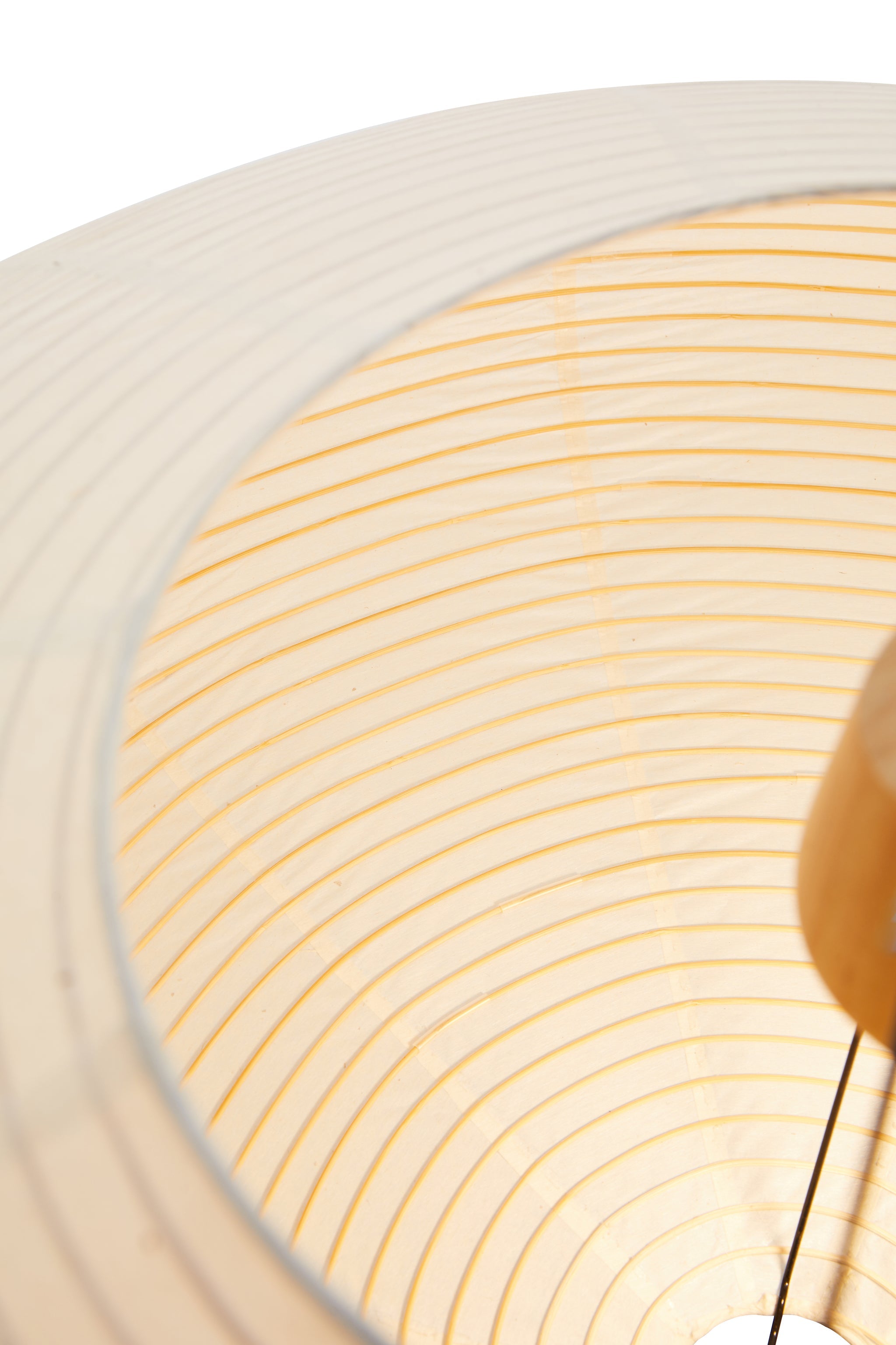 HUGA-COLLECTIVE-ELLIPSE-MAIN-9_1.jpg