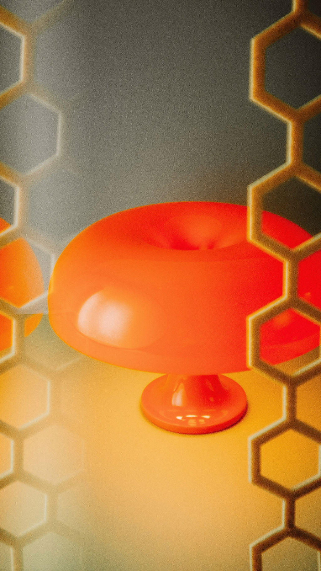 HugaFG-5.jpg