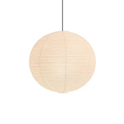 Sakura Lamp